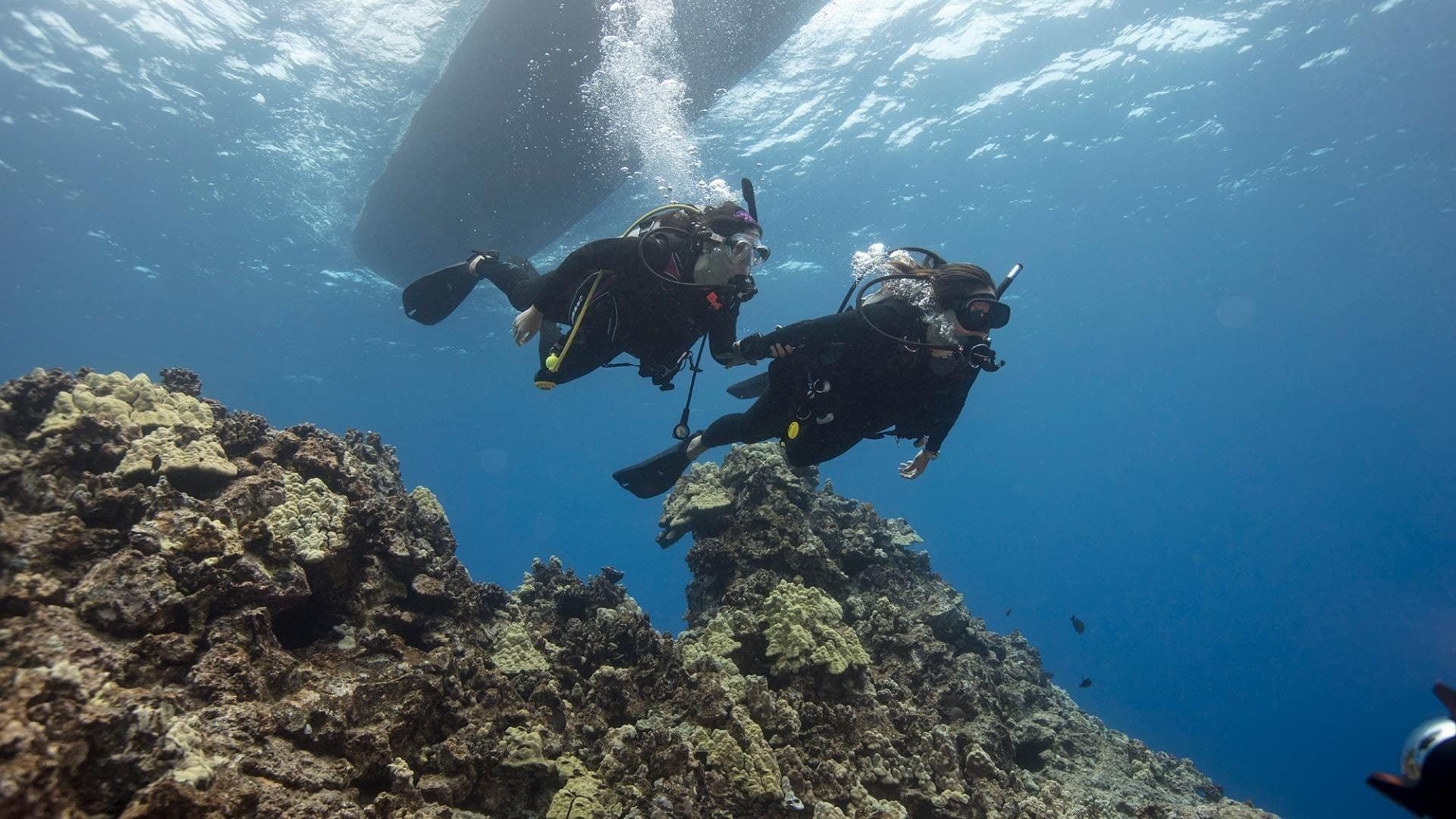 Scuba divers training below the dive boat near a coral reef