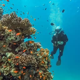 Scuba diver explores a vibrant coral reef teeming with orange fish in clear blue water.