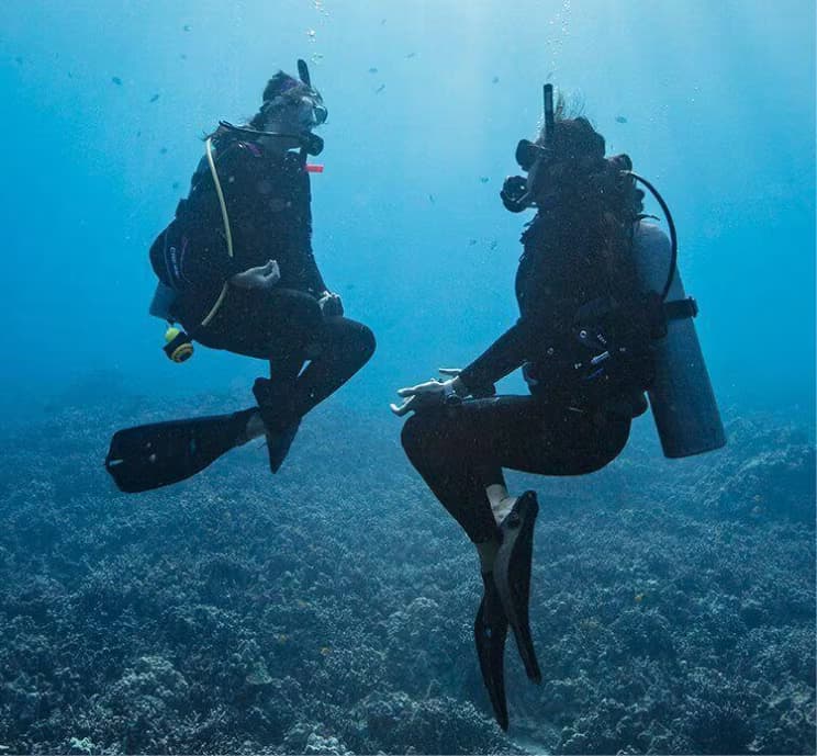 Diver hovering in neutral buoyancy above a Red Sea reef