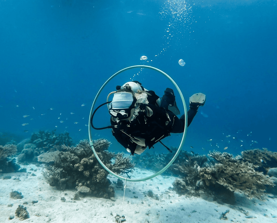 Divers discussing a dive plan on the boat