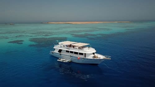 A large white dive boat anchored in stunning turquoise waters near a small sandy island.
