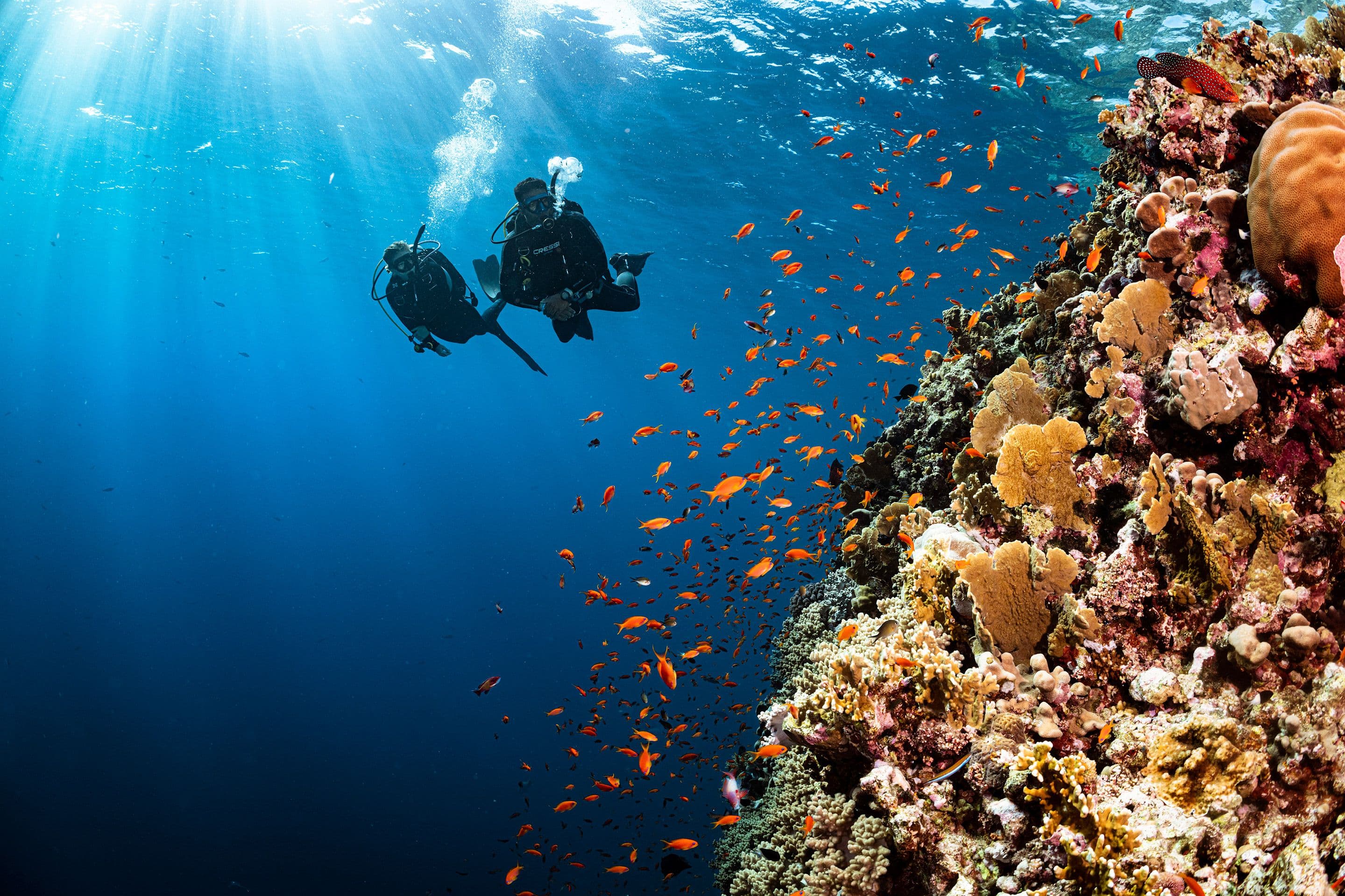 Diver analyzing a nitrox cylinder before a Red Sea dive